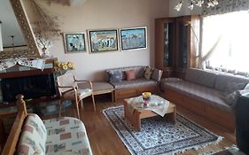 Poly'S House